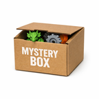 Mystery Box