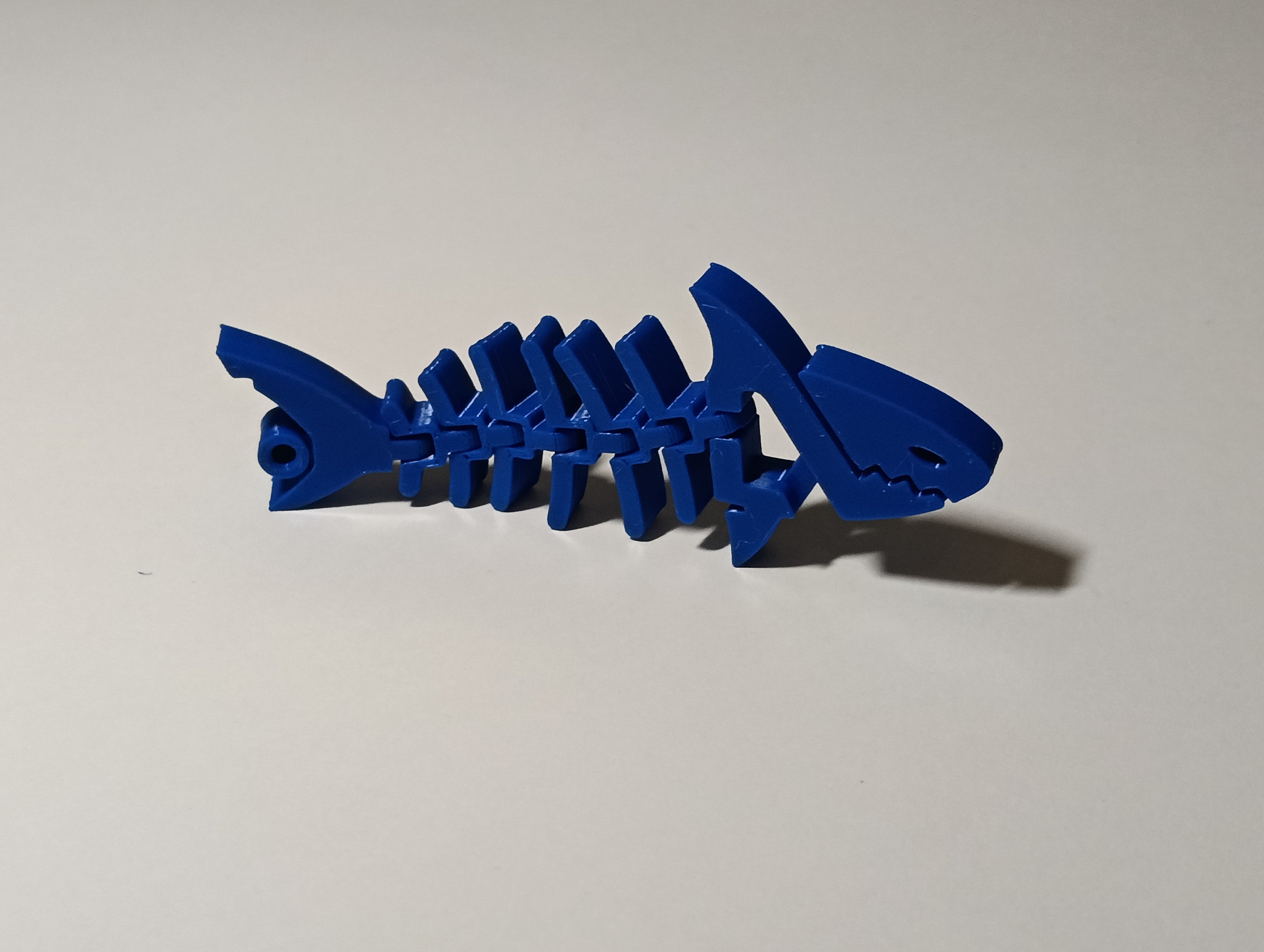 Flexi Rekin - Niebieski