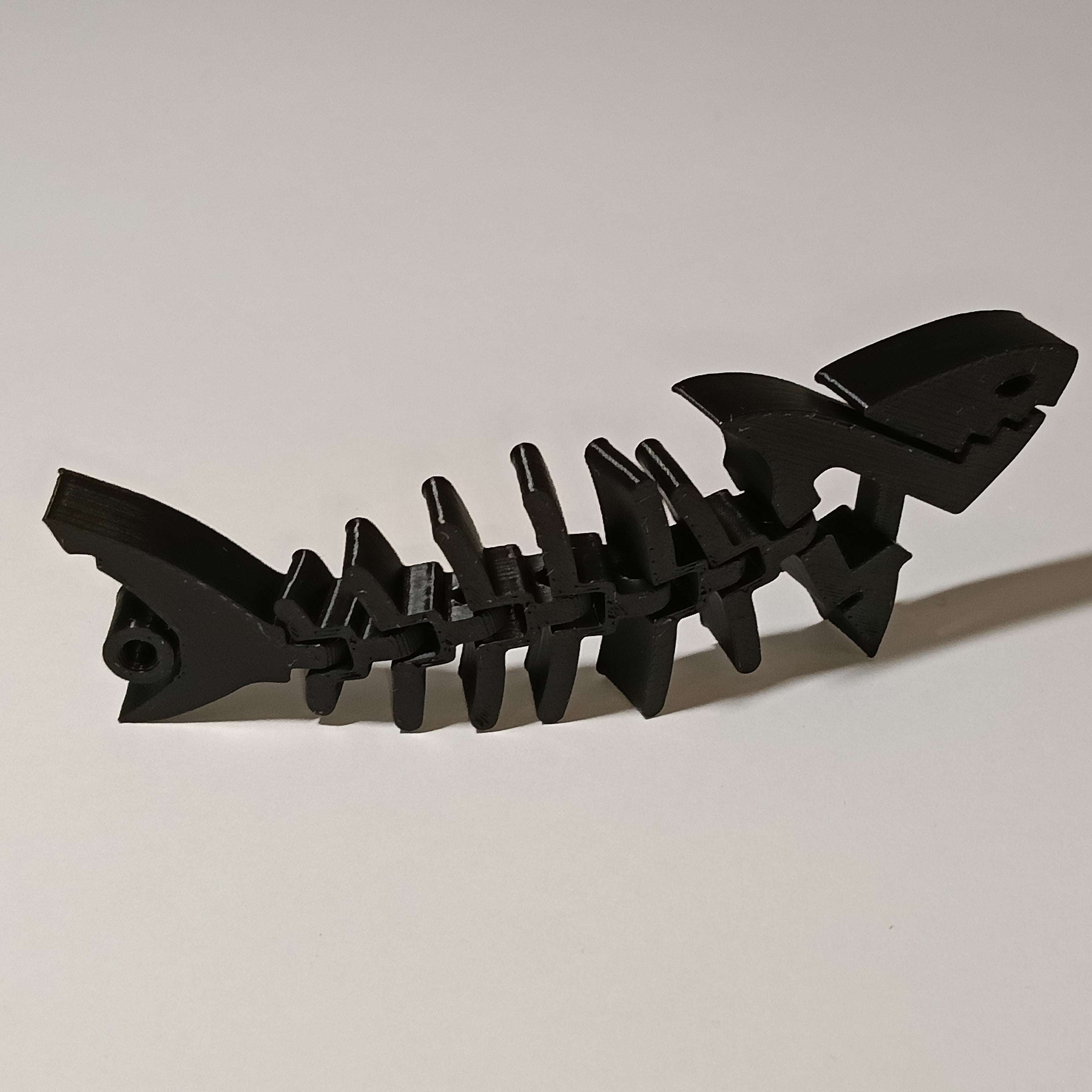 Flexi Rekin - Czarny